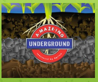Amazing Underground