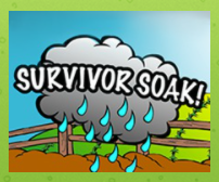 Survivor Soak